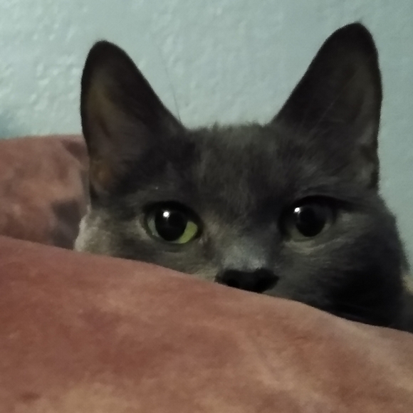 Thank You For Supporting My Small Biz - Picture 4 of 16